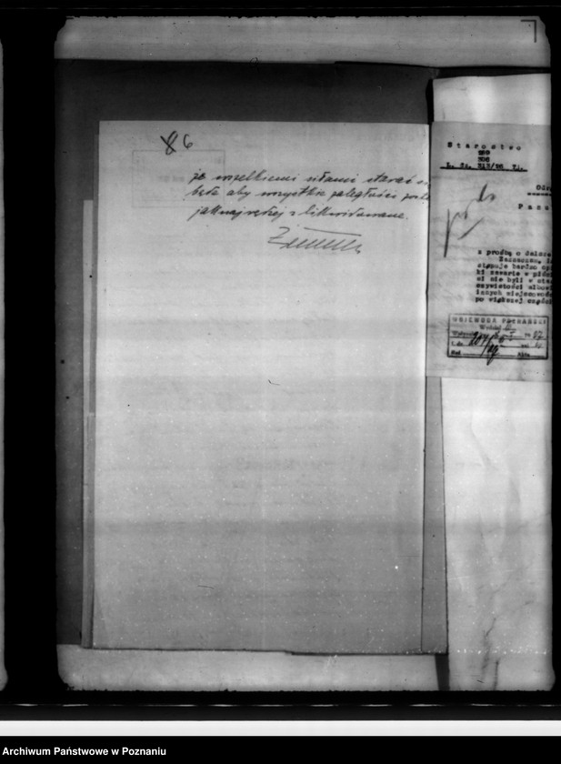 Obraz 10 z jednostki "Różności miasta Mikstatu"