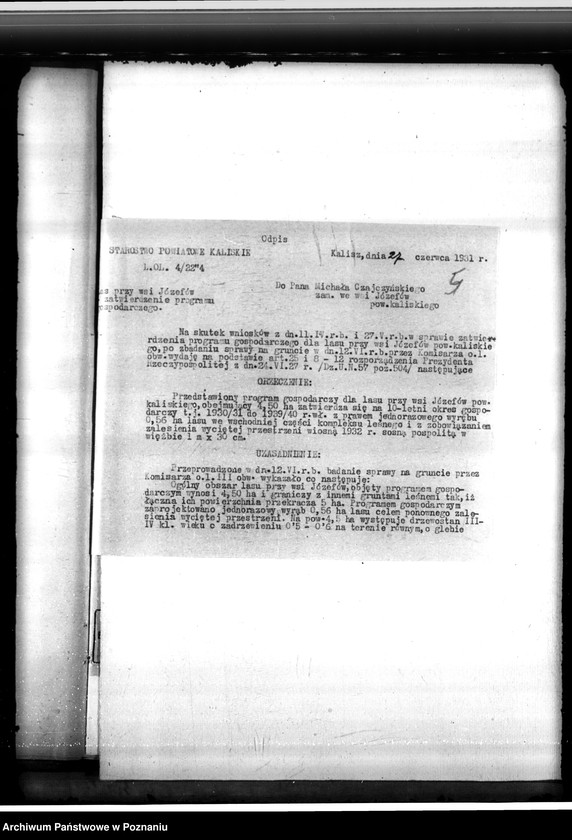 Obraz 9 z jednostki "Gmina Chocz w powiecie kaliskim /nadzór nad gospodarką leśną/"