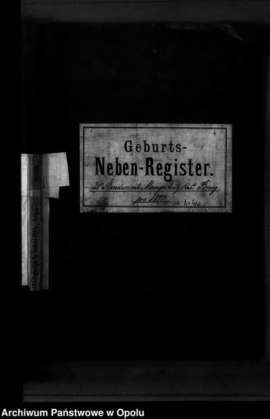 image.from.unit.number "Geburts-Neben-Register des Standesamts Mangschütz Kr.[eis] Brieg pro 1877"