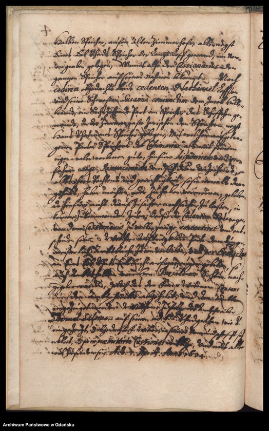 image.from.unit.number "H. Bürgerm. Eggerd von Kempen Praesidirende Ambtbuch vom [25.III.1634-18.IV.1635] Noch […] sachen, welche bey abwesen des H. Vitzpraesidenten Constantini Ferbers […] abgehöret vom [16.XI.1635-8.III.1636] /indeks/"