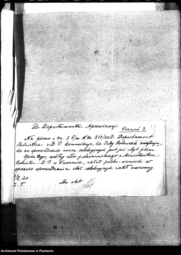 Obraz 12 z jednostki "Zboże siewne i sadzonki"