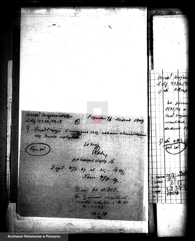 Obraz 13 z jednostki "Parcela w Strzałkowie powiatu wrzesińskiego"