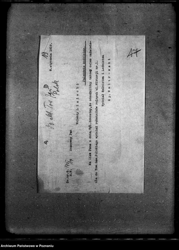 Obraz 16 z jednostki "Centralne Zjednoczenie Zaw. Polskie"