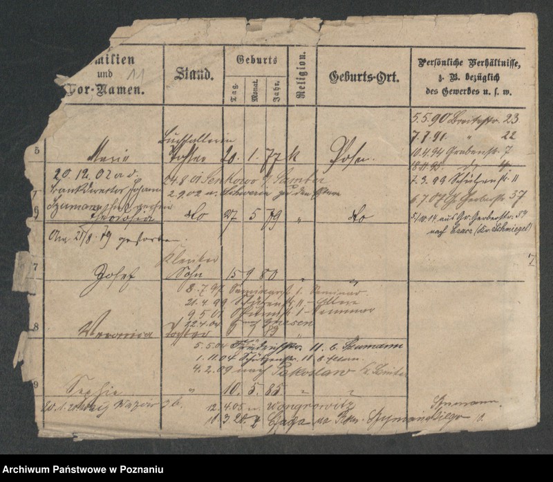 Obraz 13 z jednostki "Marciniak (żonaci i wdowy)"