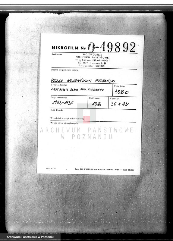 Obraz 2 z jednostki "Lasy miasta Dąbie powiatu kolskiego"