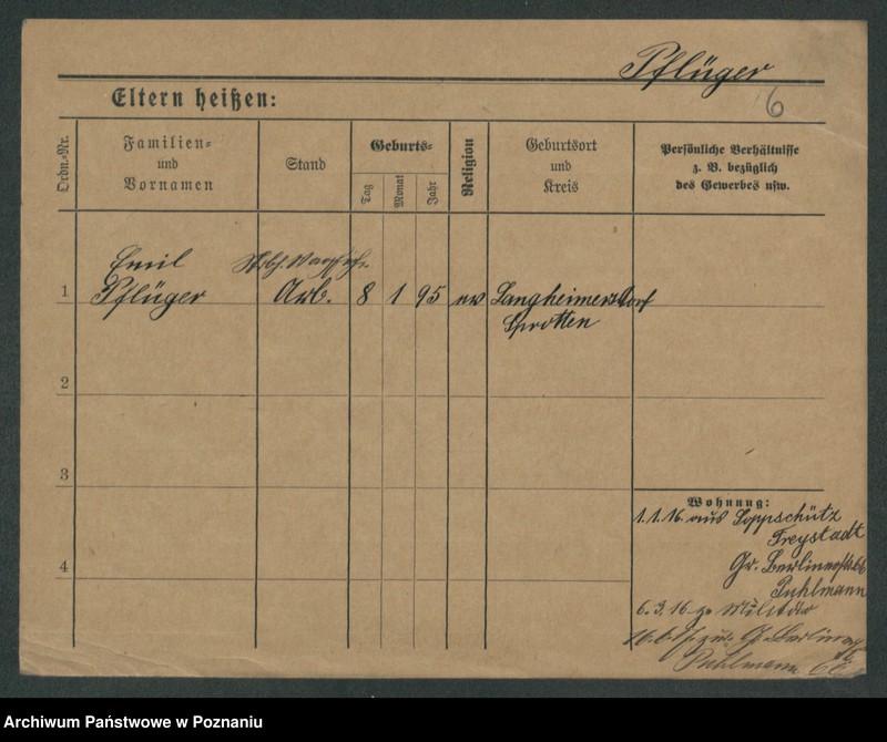 Obraz 8 z jednostki "Pflieger - Piasecki"