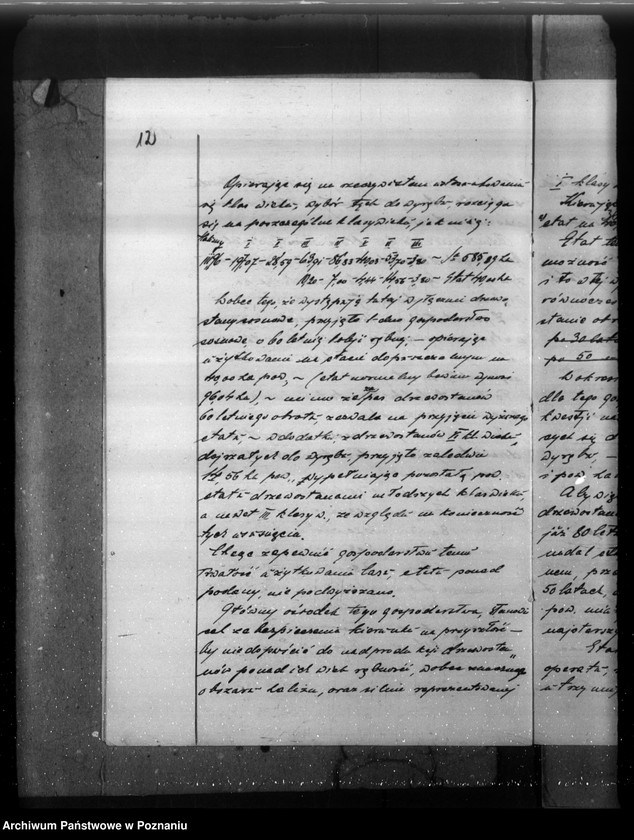 Obraz 16 z jednostki "Plan gospodarczy lasów majątku Stefanowo w powiecie nowotomyskim"