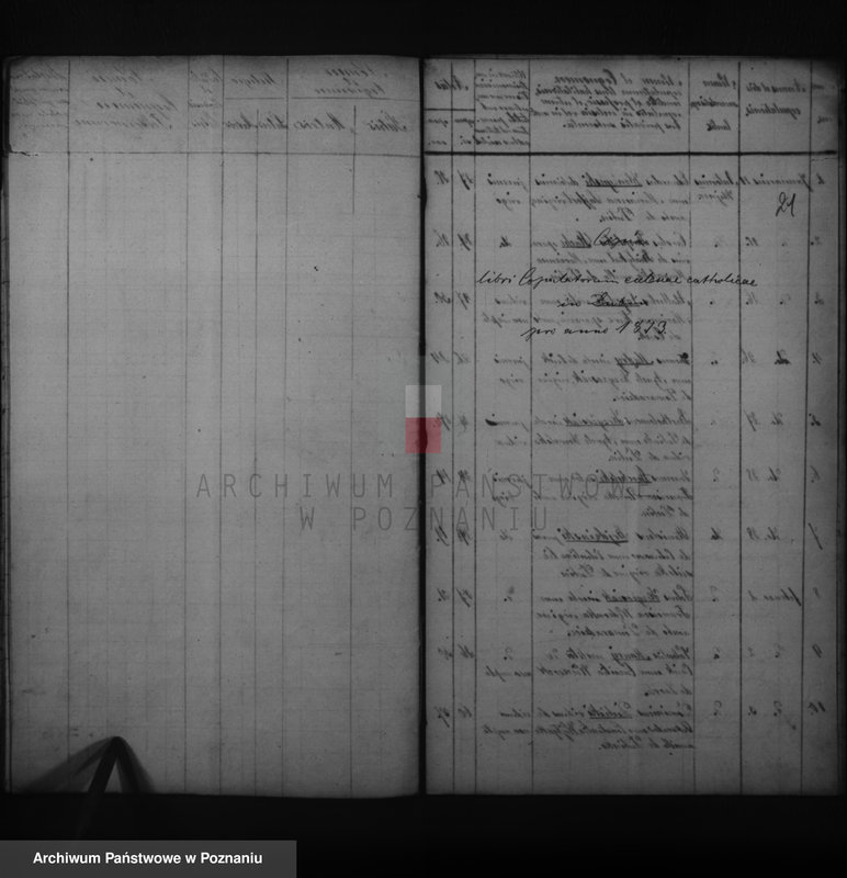 image.from.unit.number "Duplikatus baptisatorum, copulatorum, mortuorum"