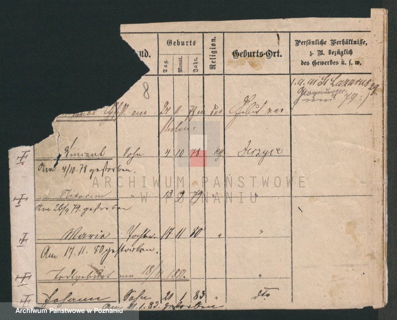 Obraz 8 z jednostki "Lewandowski (żonaci i wdowy)"