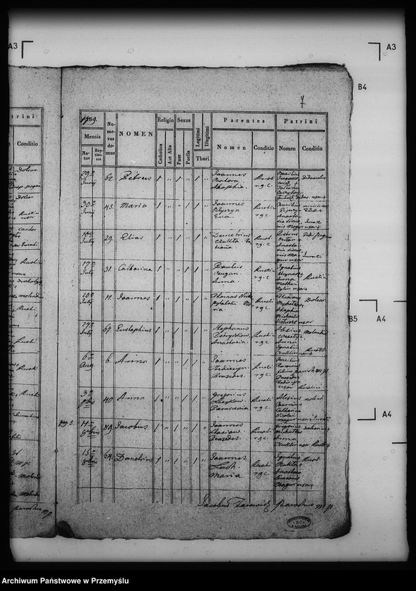 Obraz 11 z jednostki "[Kopie ksiąg metrykalnych parafii Modrycz z filią Solec (dekanat Drohobycz)]"