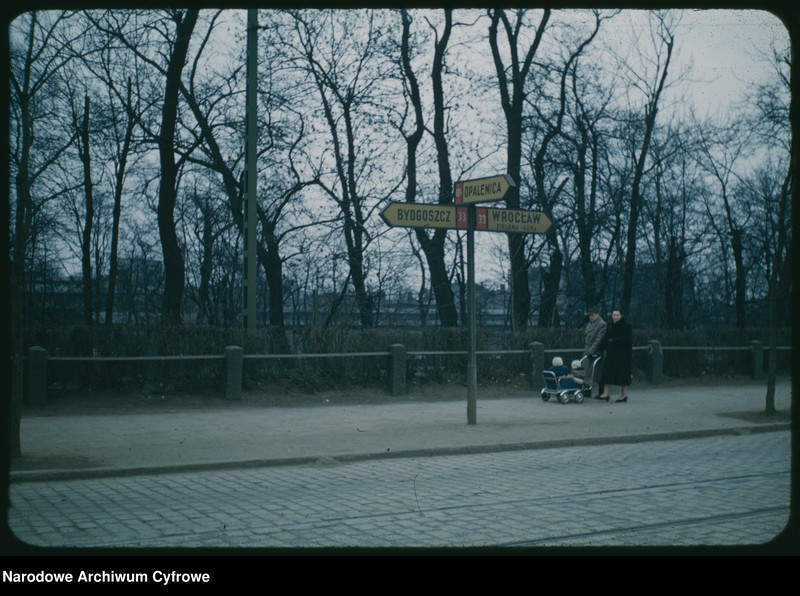 Obraz 13 z kolekcji "Poznań 1959"