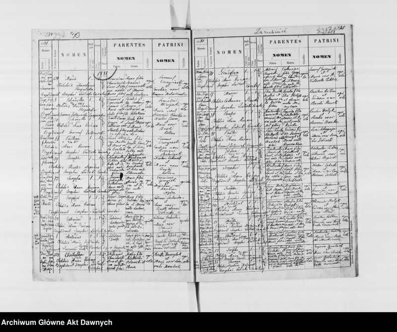 image.from.unit.number "Parafia: Ostapie (Grzymałów)*. Dekanat: Skałat. Księga metrykalna urodzeń tylko dla wsi Zarubińce. Tom I."