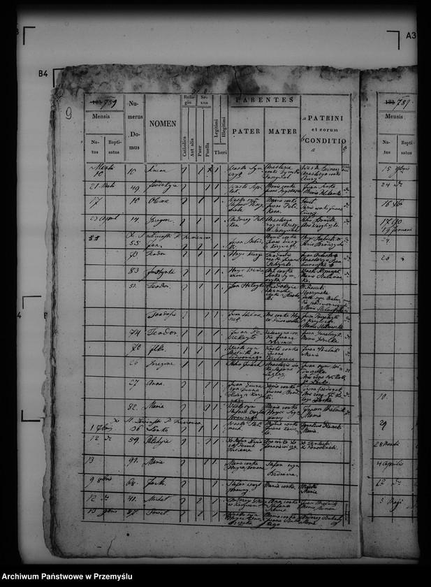 Obraz 13 z jednostki "[Kopie ksiąg metrykalnych parafii Trzcianiec (dekanat Bircza)]"