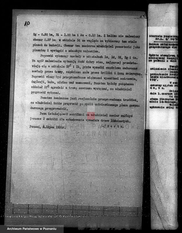 Obraz 14 z jednostki "Majętność leśna Srocko-Wielkie powiat kościański"