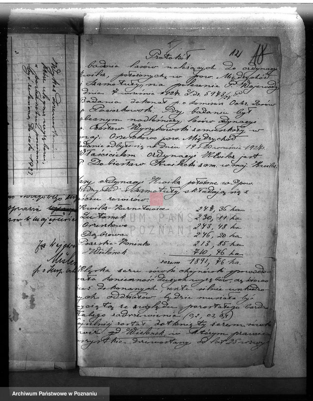 Obraz 16 z jednostki "Majętność leśna w Kwilczu w powiecie międzychodzkim"