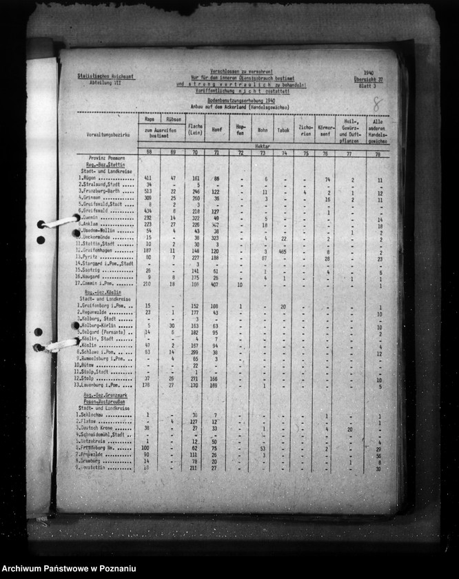 Obraz 12 z jednostki "Pommern"