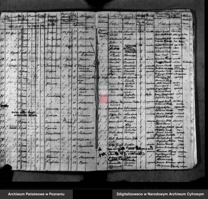 Obraz 7 z jednostki "Duplikat baptisatorum, copulatorum, mortuorum"