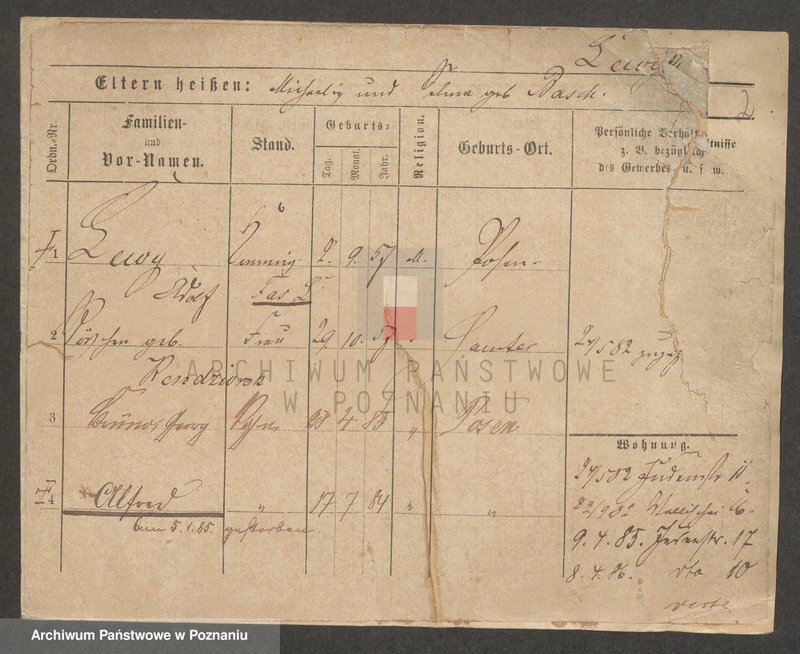 Obraz 3 z jednostki "Lewy - Libeke"