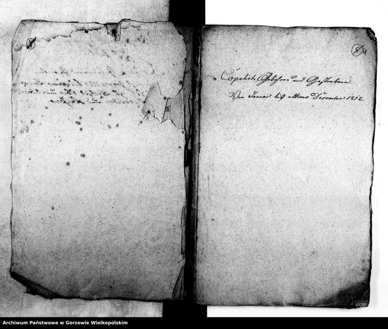 image.from.unit.number "Duplikate der Kirchenbücher von der Parochie Dechsel: Dechsel (Deszczno), Massow (Maszewo),Ober Alvensleben (Krupczyn), Nieder Alvensleben, Borkow (Borek), Gross Zettritz, Klein Zettritz (Ciecierzyce), Berkenwerder (Brzozowiec), Landaberger Holländer (Chwałowice), Jakobsfelde (Miłomin)"