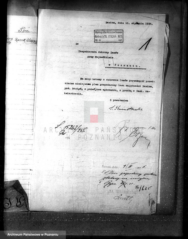 Obraz 5 z jednostki "Nadzór nad gospodarką w lasach majątku Dusina w powiecie gostyńskim"