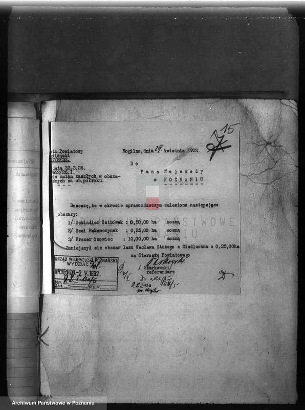 Obraz 19 z jednostki "Zalesienie nieużytków w powiecie mogileńskim"