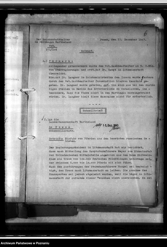 Obraz 10 z jednostki "Einfuhr von Tieren aus den besetzten Ostgebieten - auch der Schwarzmeerdeutschen"