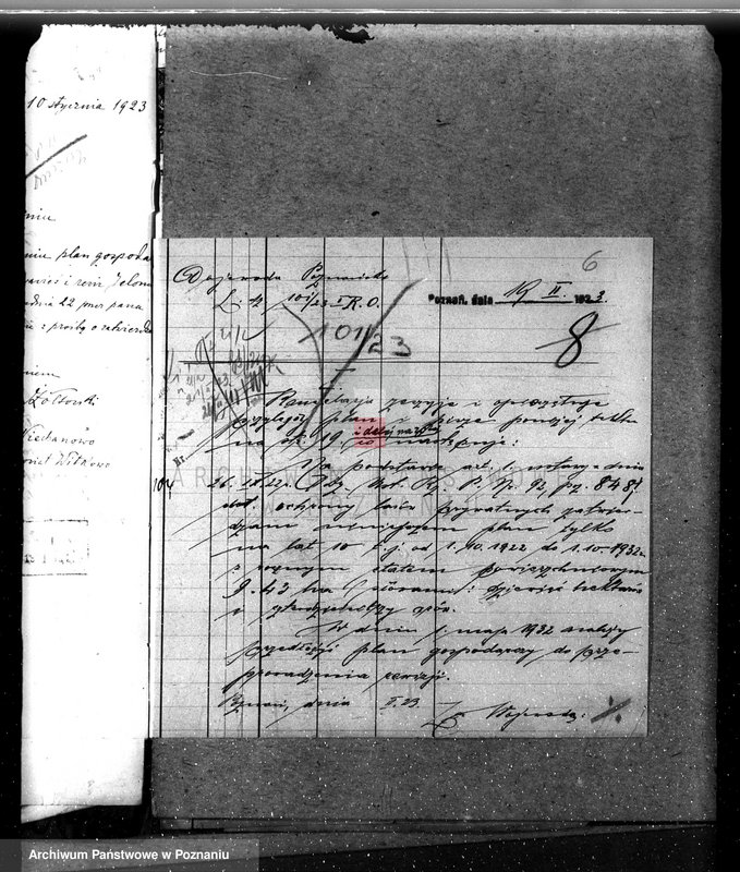 Obraz 10 z jednostki "Majętność /leśna/ Ni echanowo w powiecie gnieźnieńskim"