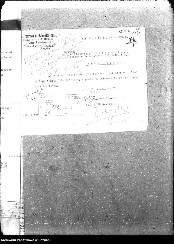 Obraz 14 z jednostki "Ziemiopłody"