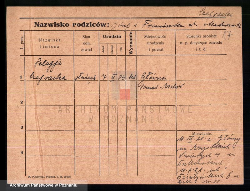 Obraz 19 z jednostki "Czapnik - Czarnecki"