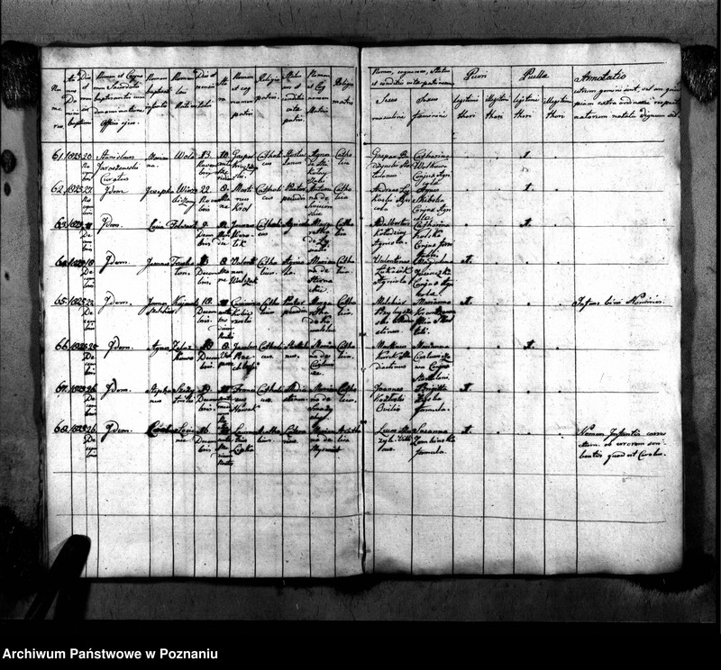 image.from.unit.number "Duplikat urodzeń, małżeństw i zgonu"