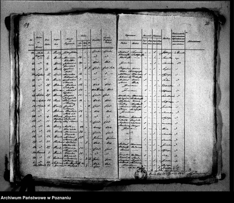 image.from.unit.number "Liber baptisatorum, copulatorum, mortuorum"