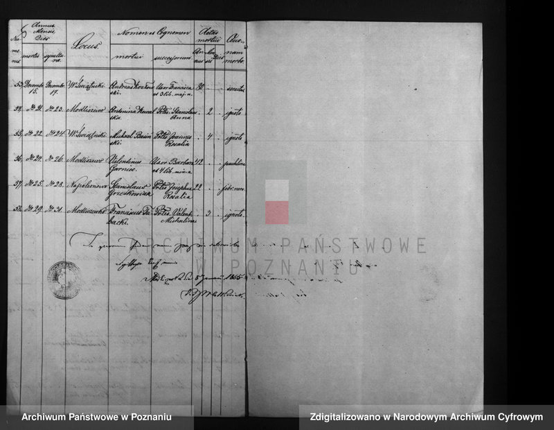 Obraz 6 z jednostki "Duplikat mortuorum"
