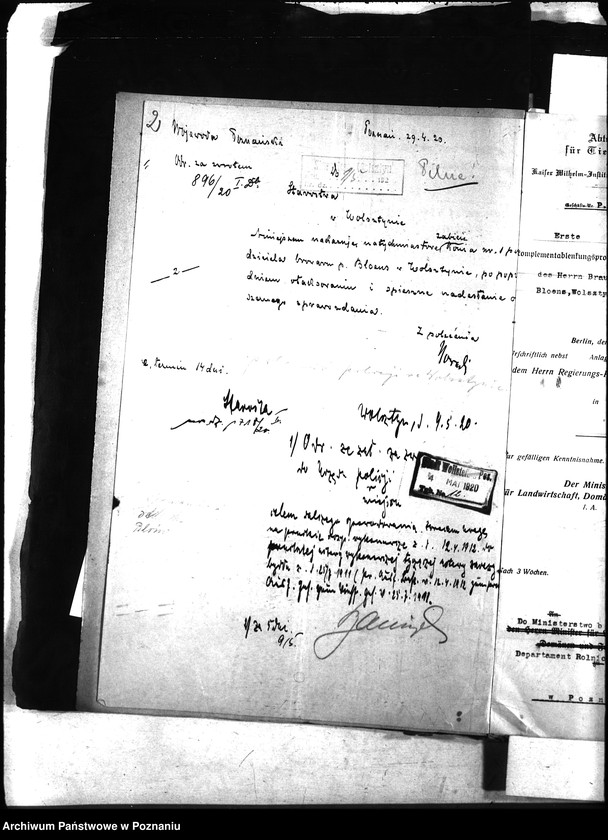 Obraz 6 z jednostki "Nosacizna - Wolsztyn"