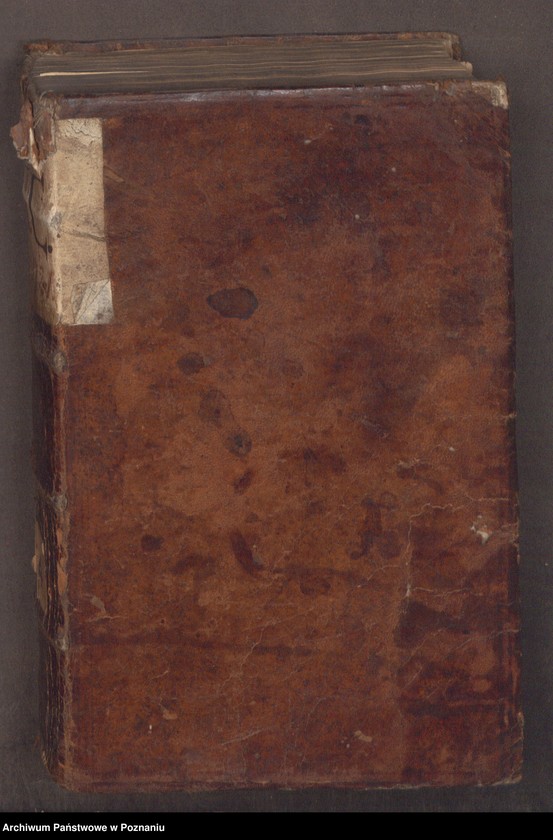 Obraz 3 z jednostki "Protocollon spectabilis officii consularis civitatis SRMtis Posnaniae ab anno Domini 1719 sub felicibus auspiciis nobilis Joannis Eyberle praesidentis civitatis eiusdem."