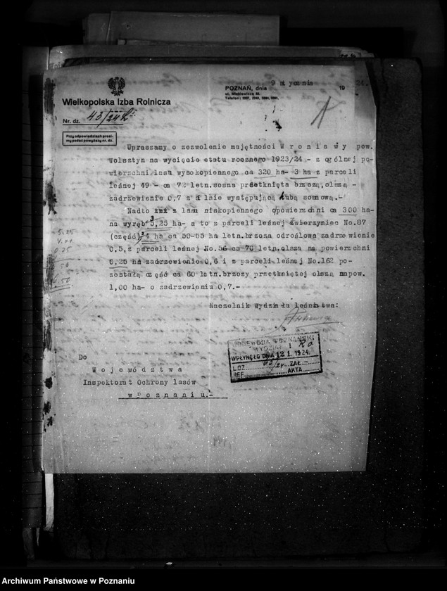 Obraz 5 z jednostki "Majętność leśna Wroniawy powiat wolsztyński"