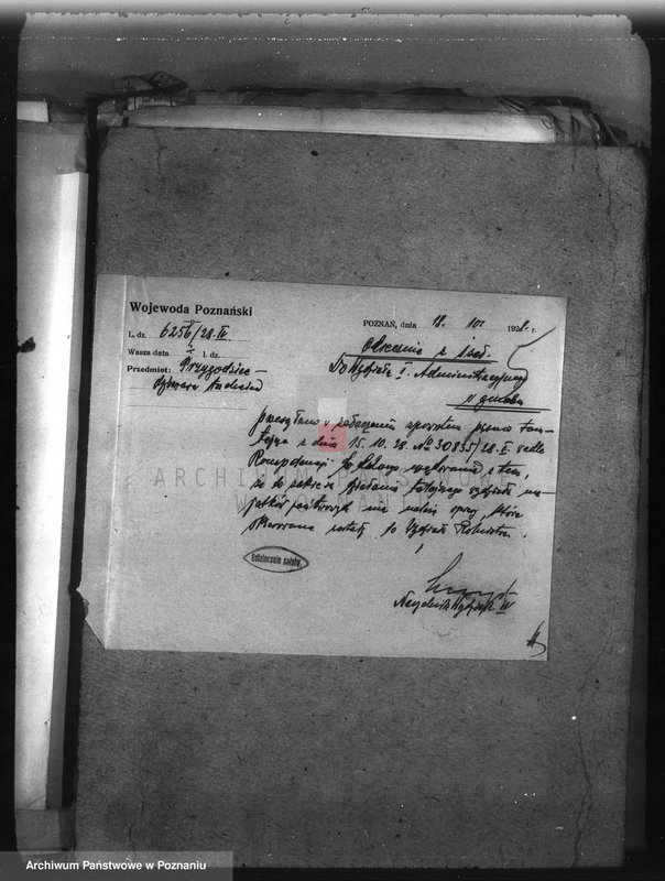 image.from.unit.number "Majętność Przygodzice powiat ostrowski /nadzór nad gospodarką leśną/"