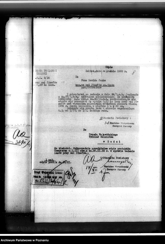 Obraz 12 z jednostki "Gmina Chocz w powiecie kaliskim /nadzór nad gospodarką leśną/"