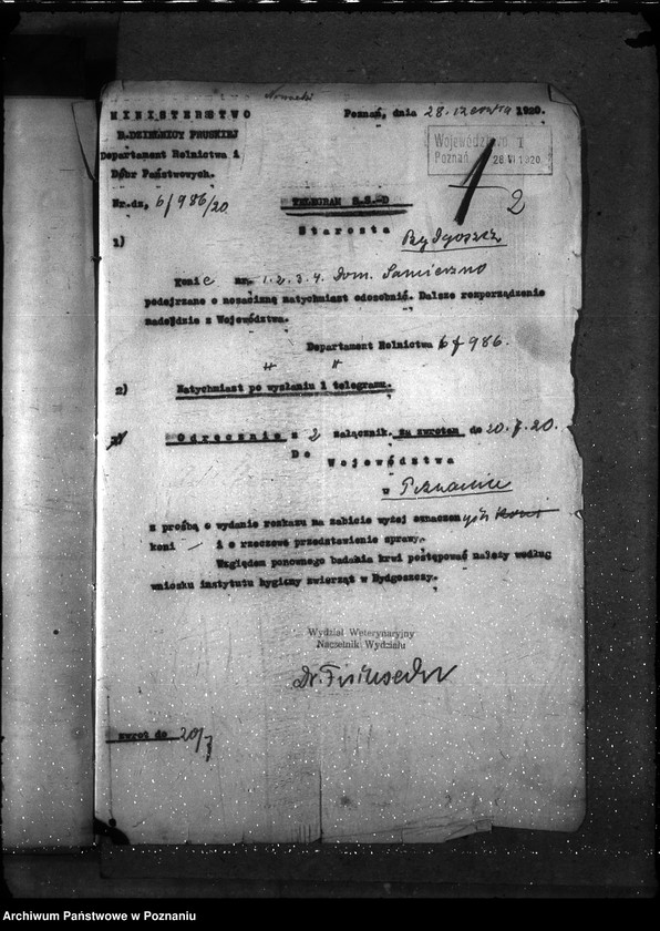 Obraz 6 z jednostki "Nosacizna - Bydgoszcz"