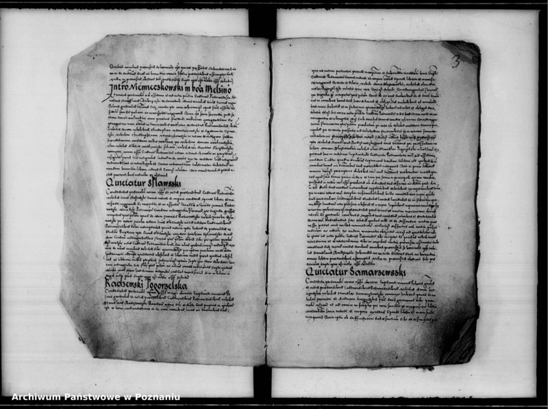 Obraz 8 z jednostki "Inscriptiones, relationes [inducta]"