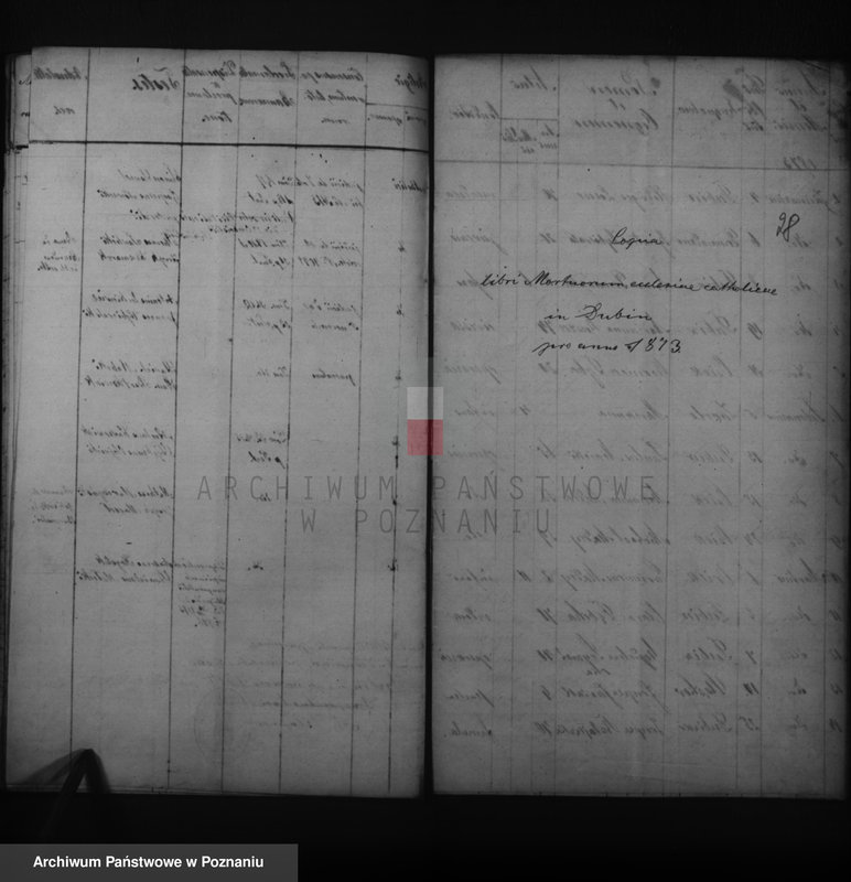 image.from.unit.number "Duplikatus baptisatorum, copulatorum, mortuorum"