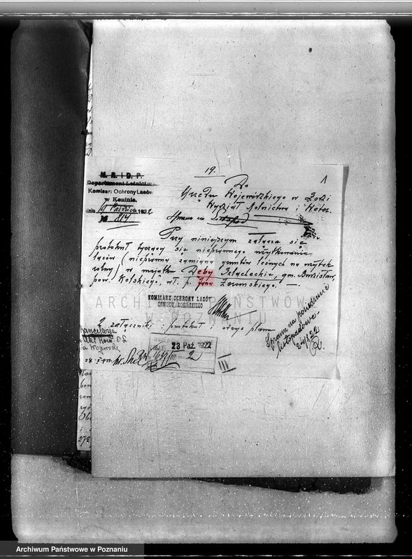 Obraz 5 z jednostki "Sprawa nieprawego wykarczowania lasu i zamiana go na użytek rolny w lasach majątku Dęby Szlacheckie własność P. J. Żeromskiego"