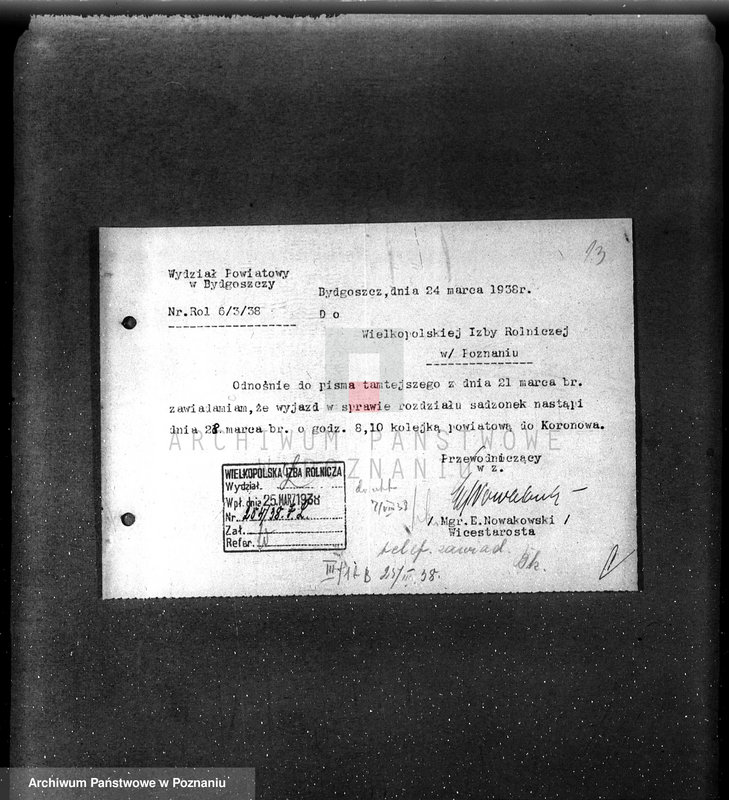 Obraz 17 z jednostki "Zalesienie nieużytków w powiecie bydgoskim"