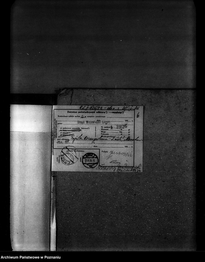 Obraz 10 z jednostki "Parcele leśne p.n.,,Ewelin" gmina Niewiesz powiat turecki"