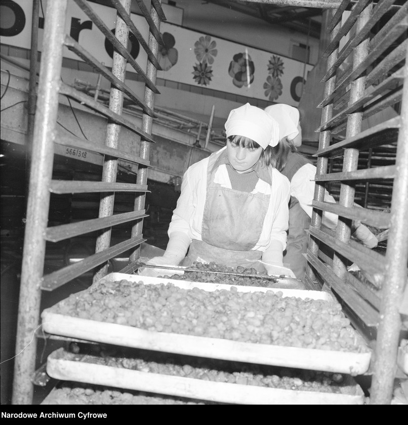 Obraz 10 z jednostki "Zakład produkcyjny Przedsiębiorstwa Handlu Zagranicznego "Hortex" w Płońsku"