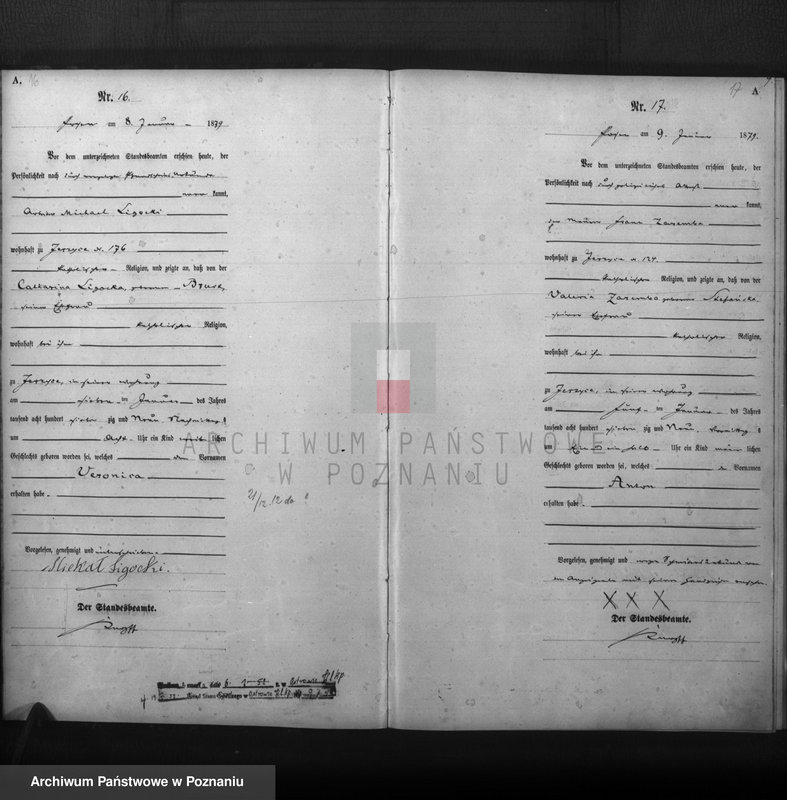 Obraz 10 z jednostki "Księga urodzeń t. I"