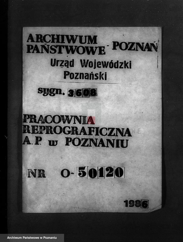 Obraz 1 z jednostki "Majętność Wituchowo w powiecie międzychodzkim"