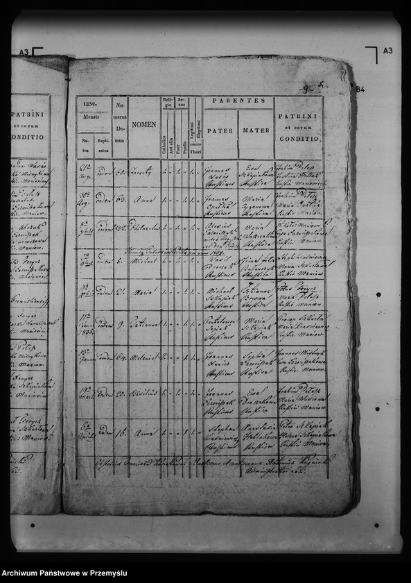 image.from.unit.number "[Kopie ksiąg metrykalnych parafii Maniów z filiami Balnica, Szczerbanówka (dekanat Łupków)]"