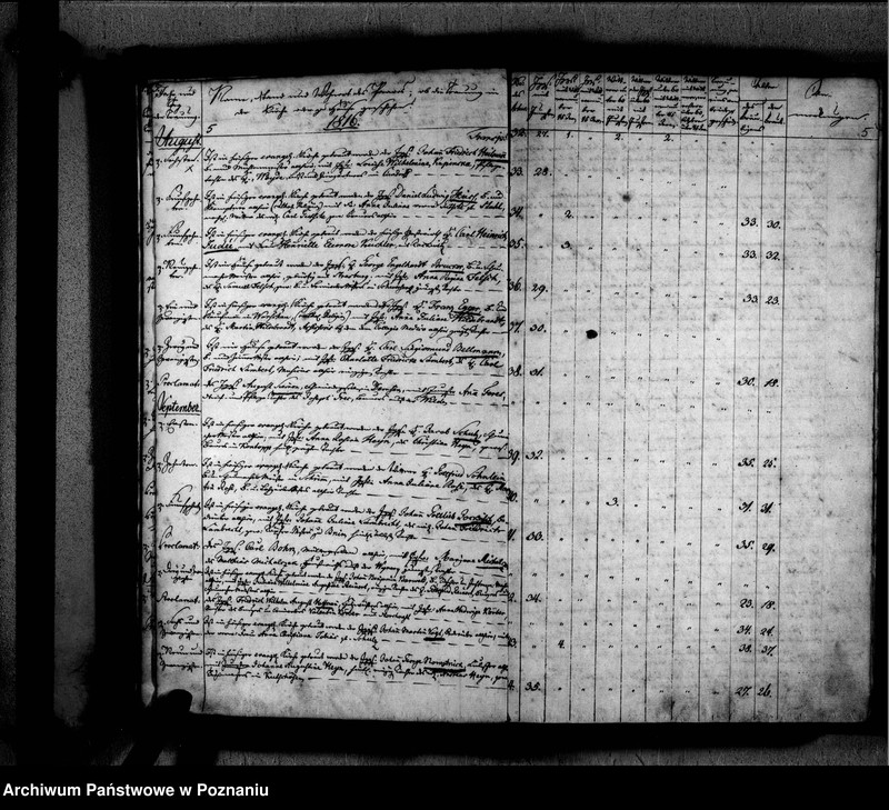 Obraz 9 z jednostki "Traubuch"