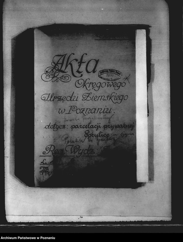 Obraz 4 z jednostki "Parcelacja prywatna majętności Potulice powiatu bydgoskiego"