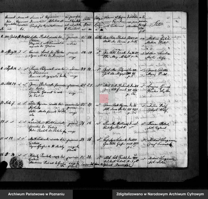 Obraz 10 z jednostki "Duplikat baptisatorum, copulatorum, mortuorum"
